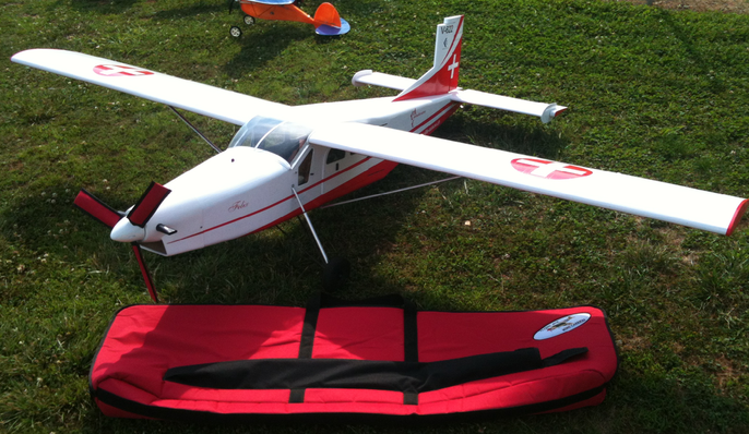 Wing Bag, Wing Carrier, Custom Wing Bag, RC Wing Bag, Ace Wing Carrier / Customs, Ace Wing Carrier.com